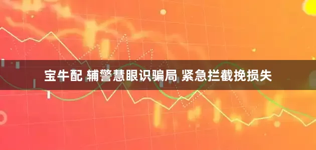 宝牛配 辅警慧眼识骗局 紧急拦截挽损失