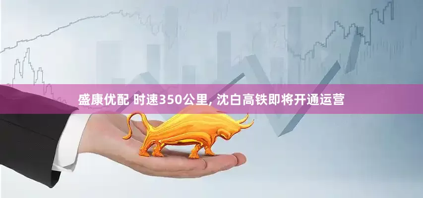 盛康优配 时速350公里, 沈白高铁即将开通运营