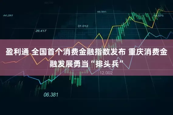 盈利通 全国首个消费金融指数发布 重庆消费金融发展勇当“排头兵”