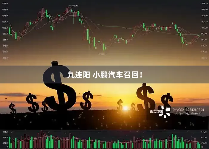 九连阳 小鹏汽车召回！